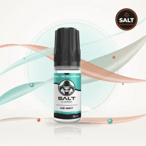 Ice Mint Salt E-Vapor 10 ml - Lips