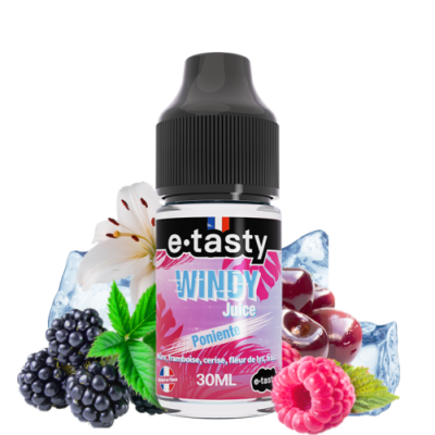 PONIENTE CONCENTRÉ 30ML - E-TASTY