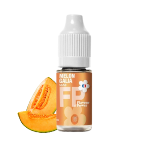 MELON GALIA 10ML - FLAVOUR POWER