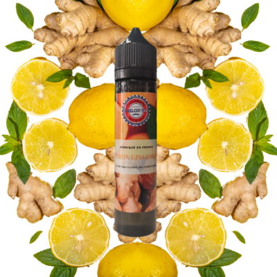 CITRON GINGEMBRE 50ML - PHILOUVAP